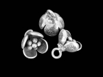 3KH-061 Thai karen hill tribe silver 2 fancy flower charm