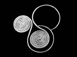 6KH-023 Thai karen hill tribes handmade silver pair swirl wire earring