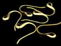 KG-452 24K gold vermeil Karen hill tribe handmae silver 6 plain earring hook