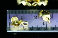 KG-131 Thai karen hill tribe silver 6 gold vermeil flower wild charm