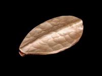 KZ-155 24K rose gold vermeil thai karen hill tribe handmade silver 1 hammered twist leaf bead 