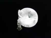 KY-031 Thai karen hill tribe handmade silver single lotus leaf ring