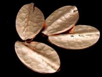 KZ-155 24K rose gold vermeil thai karen hill tribe handmade silver 1 hammered twist leaf bead 