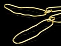 KG-359 24K Gold vermeil 24 inch thai karen hill tribes handmade silver soldered free form link chain