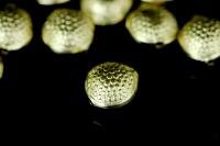 KG-632 Thai karen hill tribe silver 4 gold vermeil dot print round puffy bead